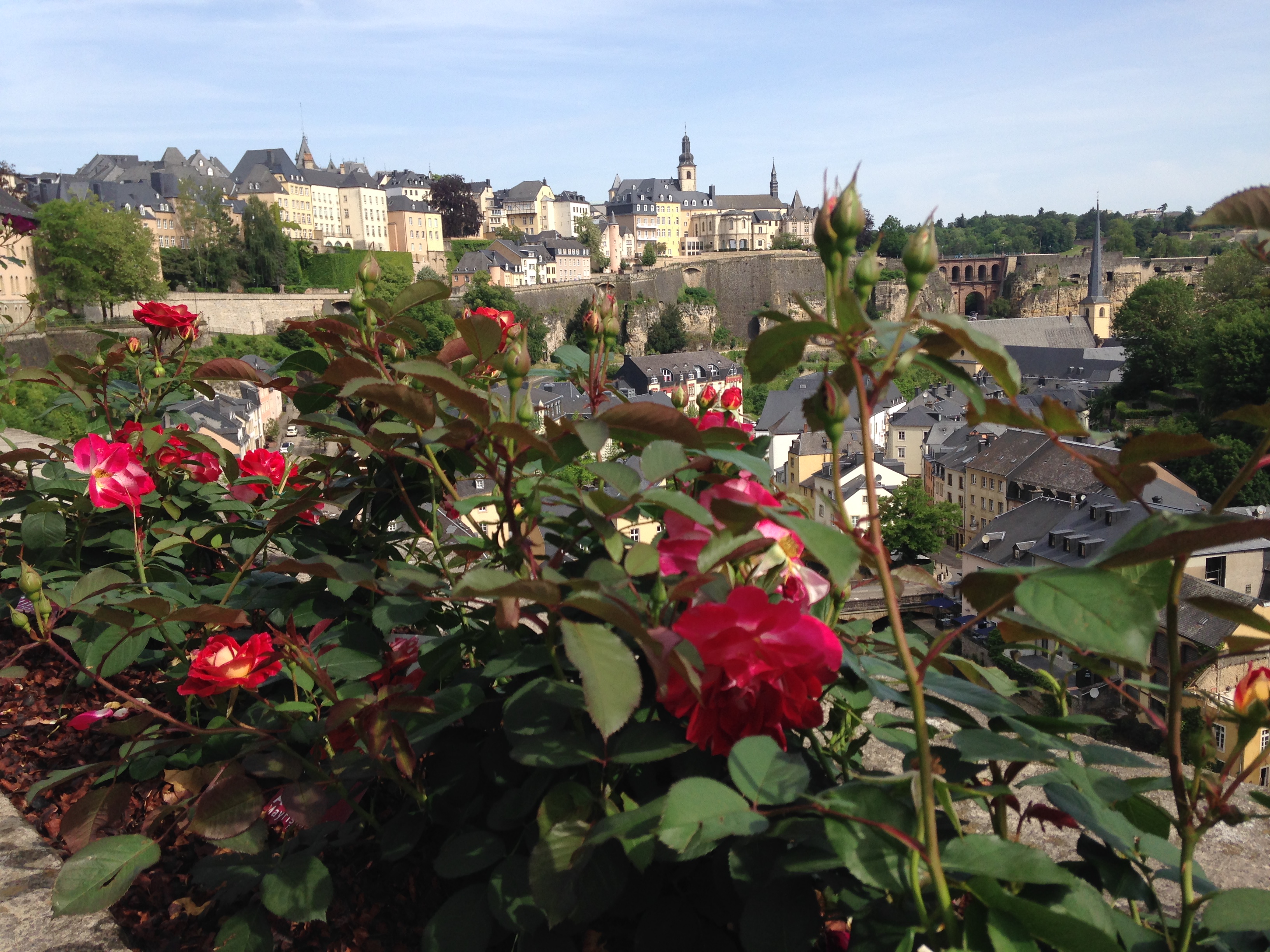 3	Jardin des roses aux Rondelles ©Rolph 